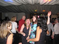 DOMS DISCO Wedding and Party Entertainment 1088470 Image 8